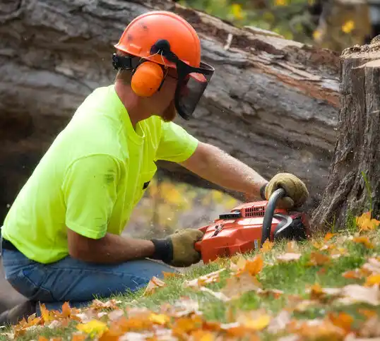 tree services Ely